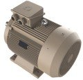 OMEGA 3MGS 355MA2 - 315 kw 3000 D/Dak IE3 Trifaze Elektrik Motoru (Sipariş vermeden önce stok bilgisi için lütfen bizimle iletişime geçiniz.)