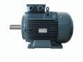 GAMAK 37 kw (50 HP) 750 D/D (GM 280 S 8) 380 V Trifaze Elektrik Motoru - Pik Döküm
