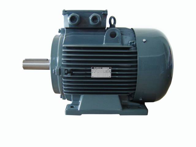 GAMAK 75 kw (100 HP) 750 D/D (GM 315 M 8a) 380 V Trifaze Elektrik Motoru - Pik Döküm