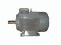 GAMAK 110 kw (150 HP) 750 D/D (GMM 315 L 8a) 380 V Trifaze Elektrik Motoru - Pik Döküm