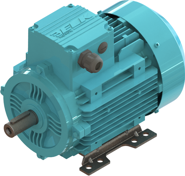 ELK 0.25 kw (1/3 HP) 3000 D/D (2EL063M2B) 380 V Trifaze IE2 Elektrik Motoru - Alüminyum