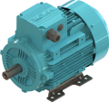 ELK 0.25 kw (1/3 HP) 3000 D/D (2EL063M2B) 380 V Trifaze IE2 Elektrik Motoru - Alüminyum