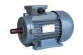 GAMAK 3 kw 3000 D/D (C.AGM2EL 90 L 2c) 380 V Trifaze Kompakt Elektrik Motoru - Alüminyum