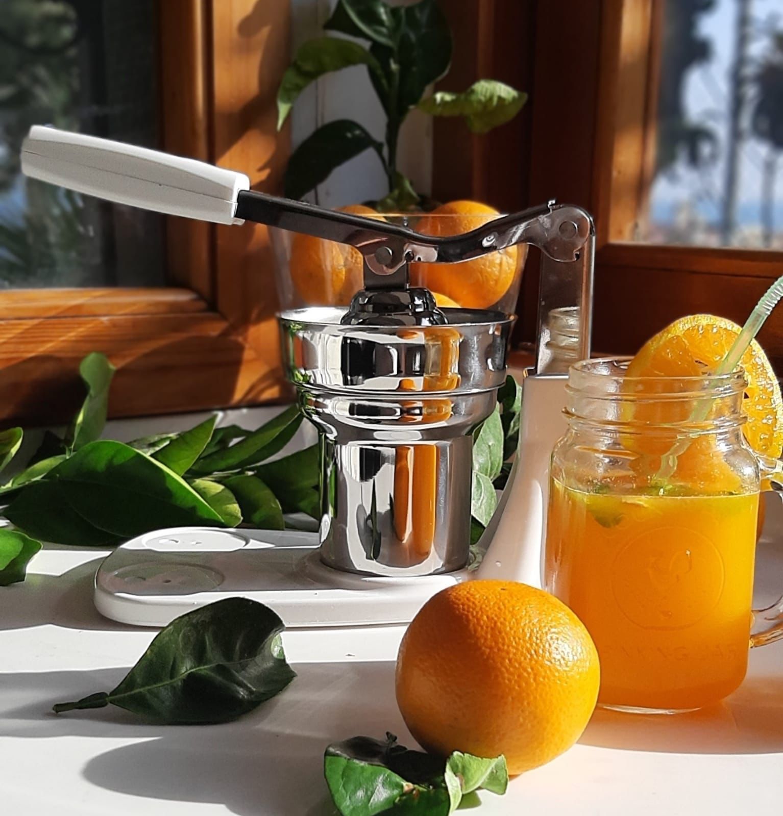 Liva Beyaz Meyve Presi Narenciye Sıkacağı