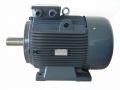 GAMAK 45 kw (60 HP) 3000 D/D (GM2EL 225 M 2a) 380 V Trifaze IE2 Elektrik Motoru - Pik Döküm