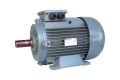 GAMAK 18.5 kw (25 HP) 1500 D/D (AGM2E 180 M 4a) 380 V Trifaze IE2 Elektrik Motoru - Alüminyum