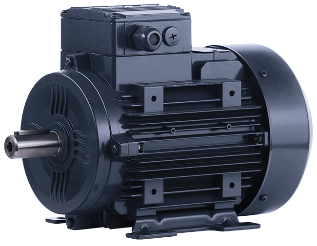 ELK 1.1 kw (1.5 HP) 3000 D/D (3EL080M2C) 380 V Trifaze IE3 Elektrik Motoru - Alüminyum