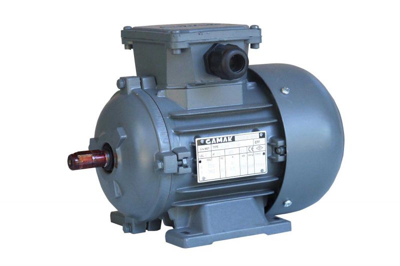GAMAK 2.2 kw (3 HP) 1000 D/D (AGM2E 112 M 6a) 380 V Trifaze IE2 Elektrik Motoru - Alüminyum