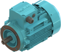 ELK 0.25 kw (1/3 HP) 1500 D/D (2EL071M4B) 380 V Trifaze IE2 Elektrik Motoru - Alüminyum B14 - Ayaksız Flanşlı