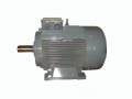 GAMAK 3 kw (4 HP) 750 D/D (GM 132 M 8) 380 V Trifaze Elektrik Motoru - Pik Döküm