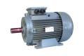 GAMAK 5.5 kw (7.5 HP) 3000 D/D (GM2E 132 S 2a) 380 V Trifaze IE2 Elektrik Motoru - Pik Döküm