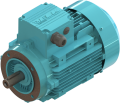 ELK 0.37 kw (1/2 HP) 1000 D/D (2EL080M6A) 380 V Trifaze IE2 Elektrik Motoru - Alüminyum B14 - Ayaksız Flanşlı