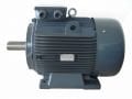 GAMAK 30 kw (40 HP) 1000 D/D (GM2EL 225 M 6a) 380 V Trifaze IE2 Elektrik Motoru - Pik Döküm