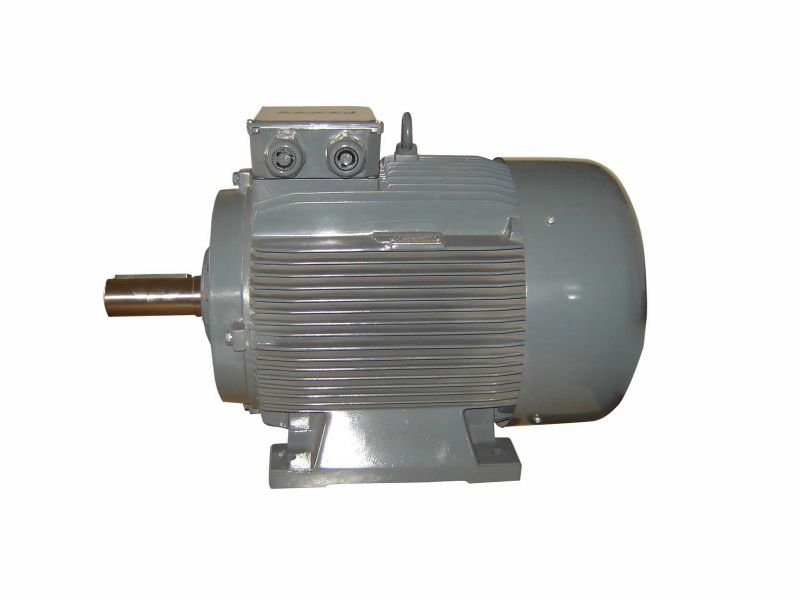 GAMAK 55 kw (75 HP) 1000 D/D (GM2E 280 M 6b) 380 V Trifaze IE2 Elektrik Motoru - Pik Döküm