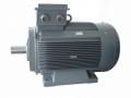 GAMAK 90 kw (125 HP) 1000 D/D (GM2E 315 M 6b) 380 V Trifaze IE2 Elektrik Motoru - Pik Döküm